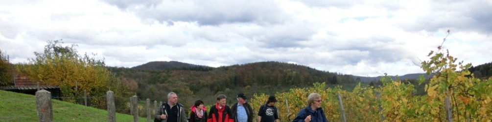 Schwäbischer Albverein | Ortsgruppe Dapfen